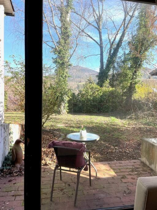 Merkurblick In Baden-Baden Bagian luar foto